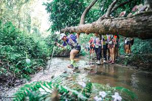 BIB: 
                            <button type="button" onclick="openModal(25468652)" class="btn btn-primary btn-sm float-right btn-popup" data-toggle="modal" data-target=".modal-high-quality">
                        <i class="fas fa-shopping-cart"></i> Add to Cart
                    </button>
                                            <button type="button" onclick="isThisMe(25468652, true)" class="btn btn-success btn-sm float-right btn-popup btn-isme hidden" data-toggle="tooltip" data-placement="bottom" title="นี่คือรูปของคุณใช่ไหม คลิกที่นี่เพื่อเอาเข้าอัลบั้ม">
                        <i class="fas fa-plus"></i> Add to album
                    </button>
                    <button type="button" onclick="isThisMe(25468652, false)" class="btn btn-warning btn-sm float-right btn-popup btn-isnotme hidden">
                        <i class="fas fa-ban"></i> Remove from album
                    </button>